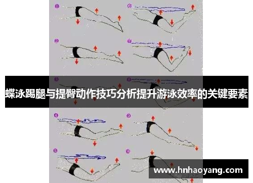 蝶泳踢腿与提臀动作技巧分析提升游泳效率的关键要素